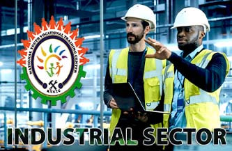 NYVTC-INDUSTRIAL SECTORS